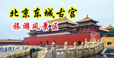 舔大屌中国北京-东城古宫旅游风景区